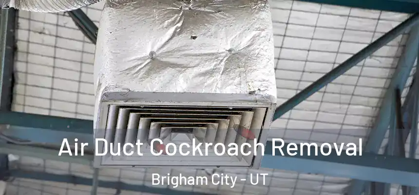 Air Duct Cockroach Removal Brigham City - UT