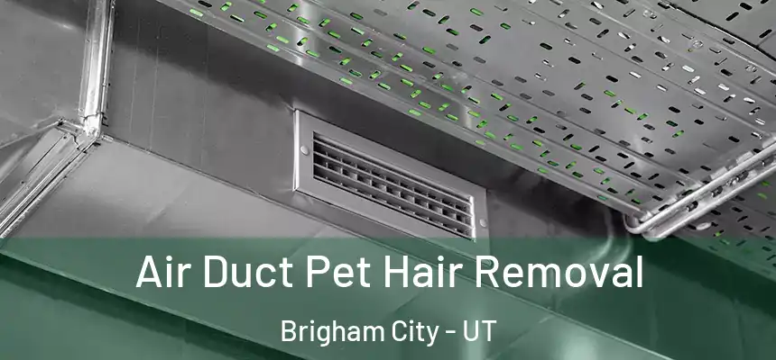 Air Duct Pet Hair Removal Brigham City - UT