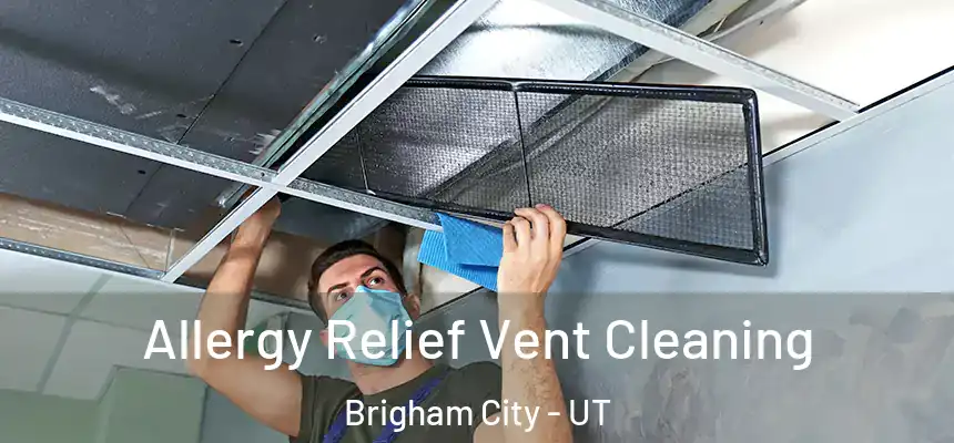  Allergy Relief Vent Cleaning Brigham City - UT