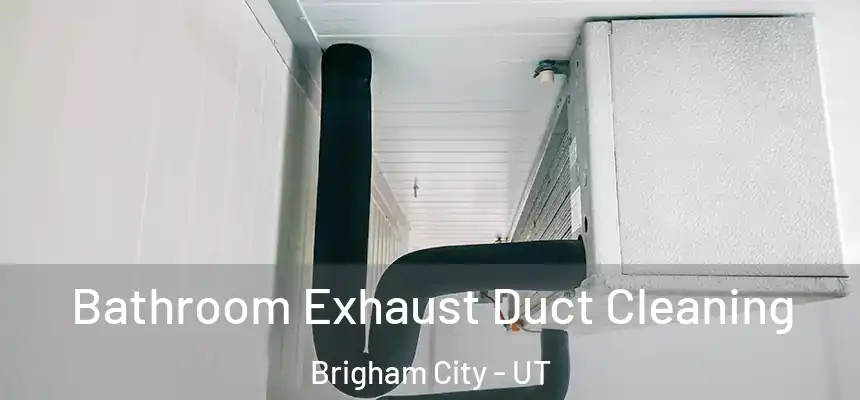 Bathroom Exhaust Duct Cleaning Brigham City - UT