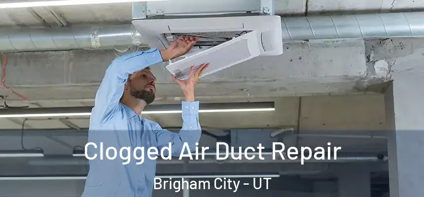 Clogged Air Duct Repair Brigham City - UT