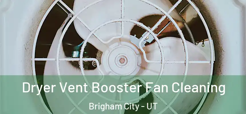 Dryer Vent Booster Fan Cleaning Brigham City - UT