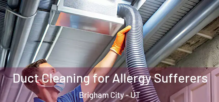  Duct Cleaning for Allergy Sufferers Brigham City - UT