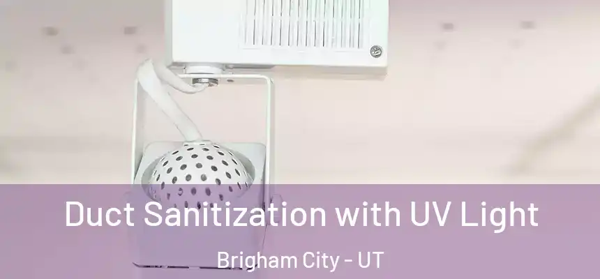 Duct Sanitization with UV Light Brigham City - UT
