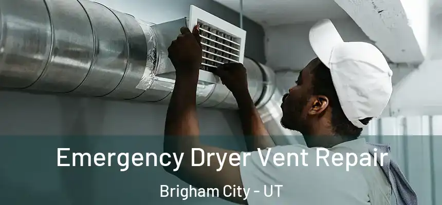  Emergency Dryer Vent Repair Brigham City - UT