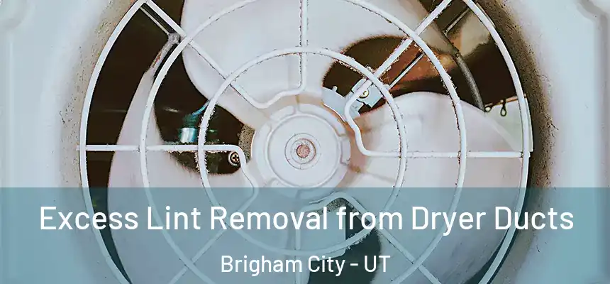 Excess Lint Removal from Dryer Ducts Brigham City - UT