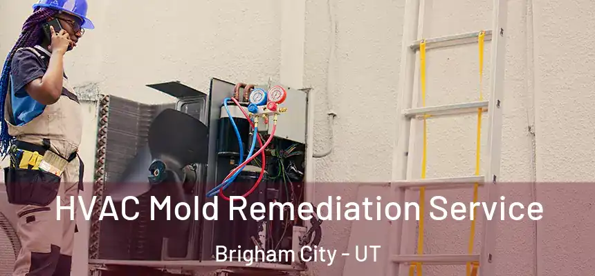 HVAC Mold Remediation Service Brigham City - UT