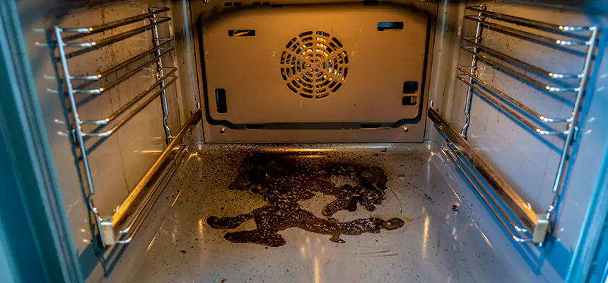 Our Dryer Vent Mold Cleaning Services in Brigham City, UT