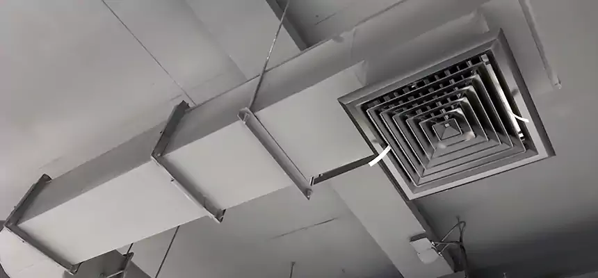 Our Pest Removal From Ducts Services in Brigham City, UT