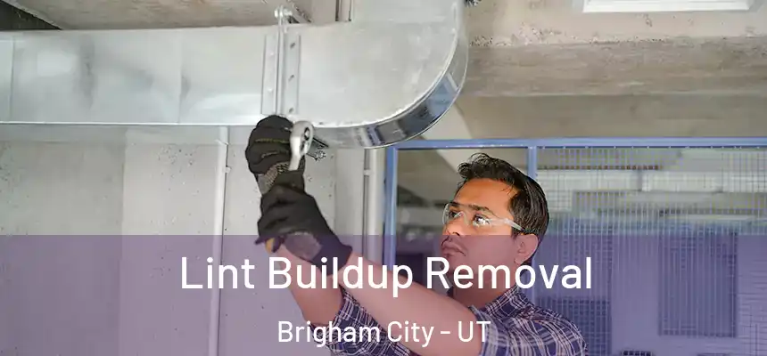  Lint Buildup Removal Brigham City - UT