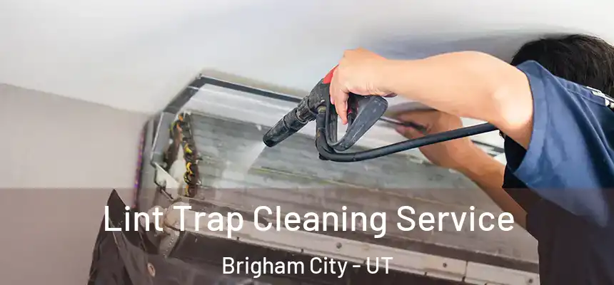  Lint Trap Cleaning Service Brigham City - UT