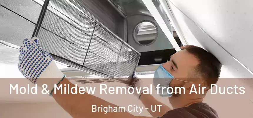  Mold & Mildew Removal from Air Ducts Brigham City - UT