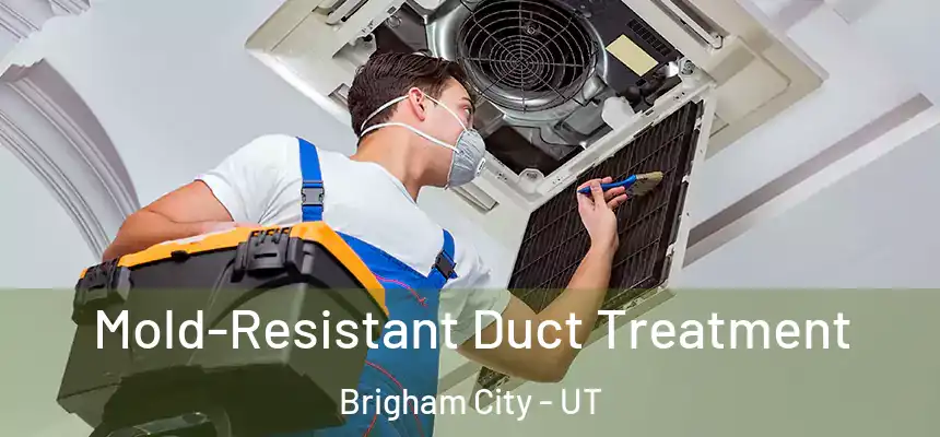  Mold-Resistant Duct Treatment Brigham City - UT