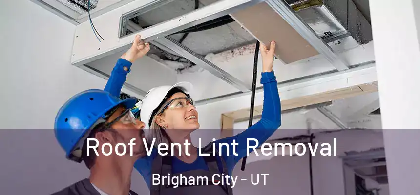  Roof Vent Lint Removal Brigham City - UT