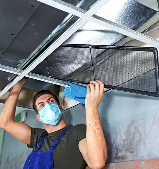 Professional Air Duct Pollen Cleaning in Brigham City, UT