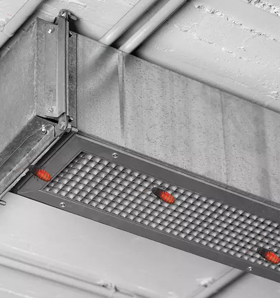 Affordable Insect Removal from Air Ducts in Brigham City, UT