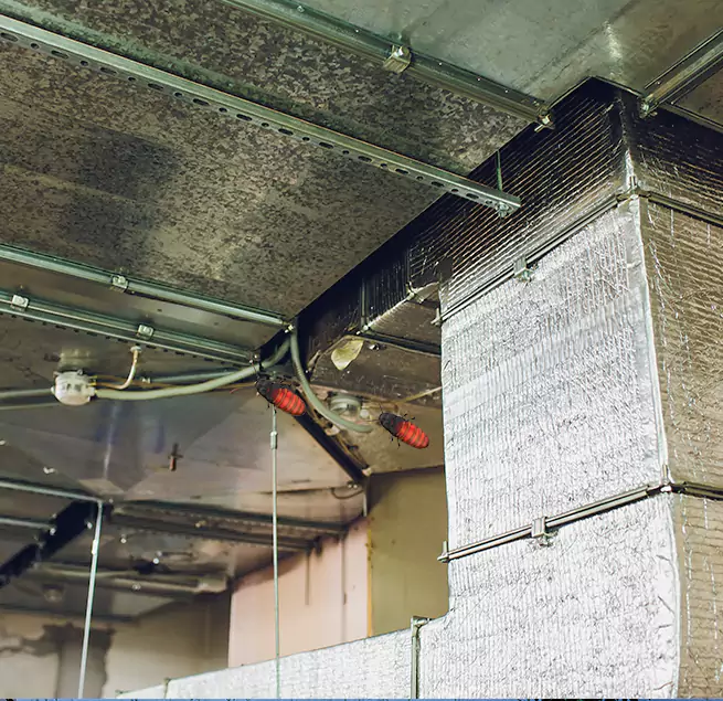 Why Homeowners & Businesses Trust Us in Brigham City, UT?