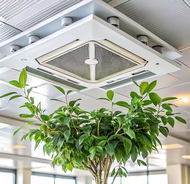 Why Homeowners & Businesses Trust Us in Brigham City, UT