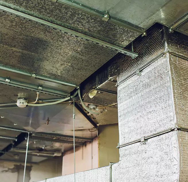 Why Homeowners & Businesses Trust Us in Brigham City, UT?