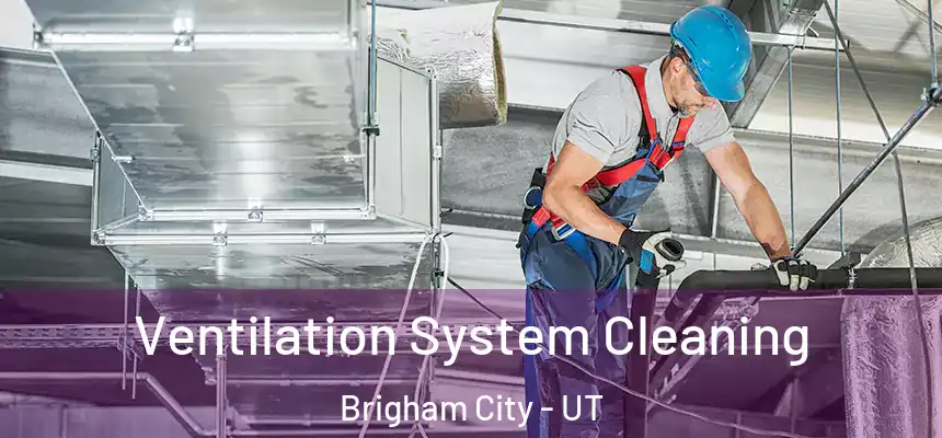  Ventilation System Cleaning Brigham City - UT